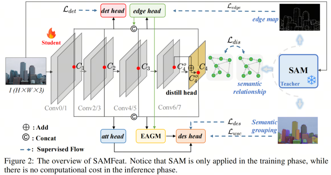 其实SAM是个好老师 | SAMFeat教你如何结合自己的模型和SAM设计一个更好的模型