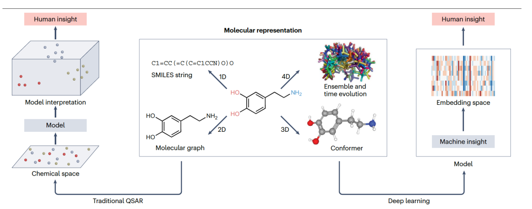 Nat. Rev. Drug Discov. | 定量构效关系(QSAR)建模和深度学习在药物发现中的应用