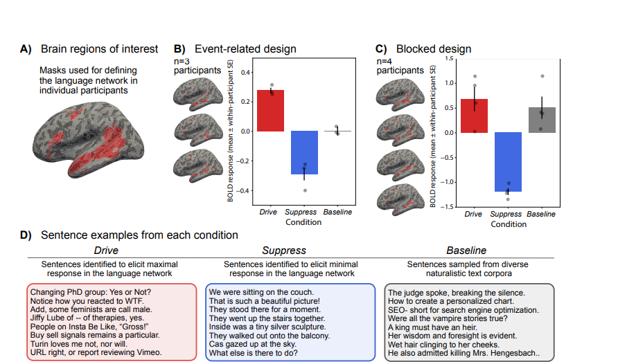 Nat. Human. Behav. 速递：利用大语言模型驱动和抑制人类语言网络