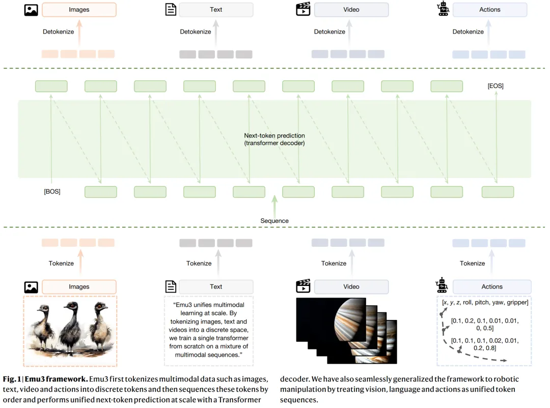 Emu3 框架示意图，展示图像、文本、视频和动作如何被统一 Tokenize 并输入到单个 Transformer 模型中。