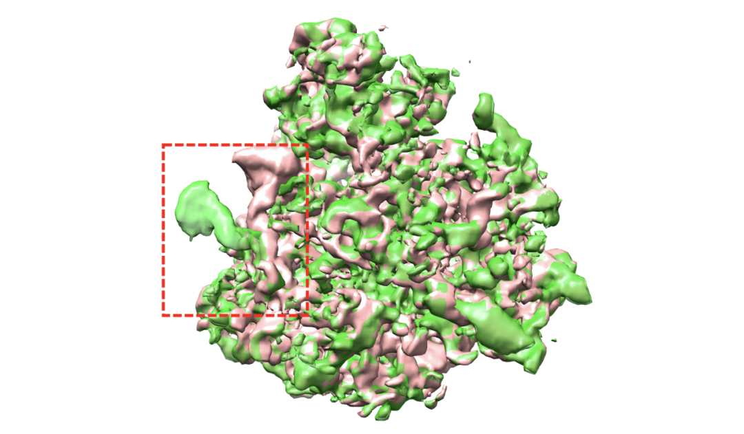Nat. Methods. | 复旦团队先进智能算法：蛋白质结构冷冻电镜解析分辨率大幅提升