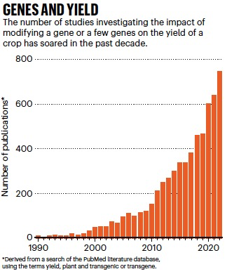 Nature | 学者呼吁重新审视基因与农作物产量关系的研究