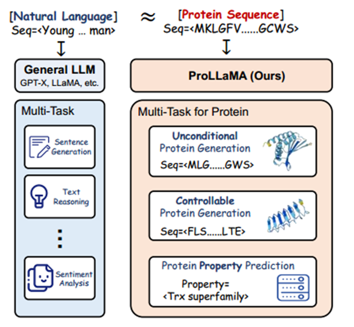 ProLLaMA：一种用于多任务蛋白质语言处理的蛋白质大语言模型