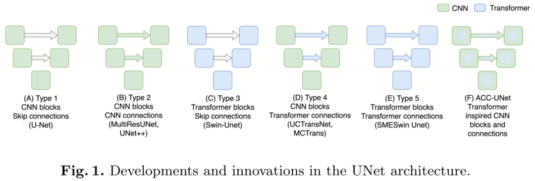 ACC-UNet | 致敬ConvNeXt，全卷积结构UNet设计，超越SWin-UNet！