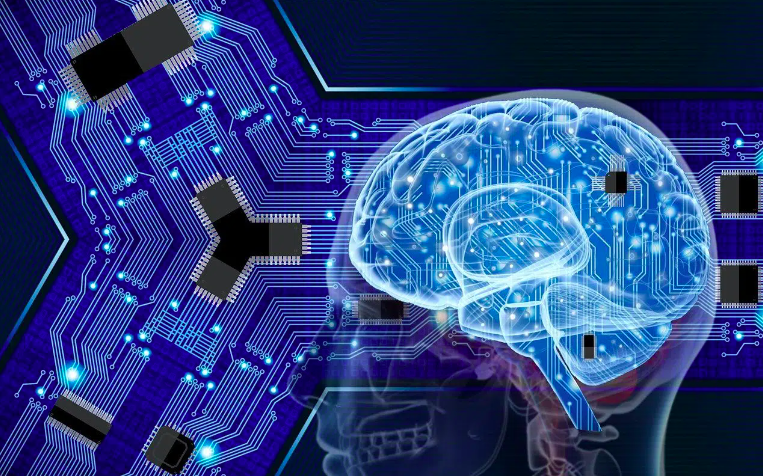 生物大脑为何优于机器学习系统？超越反向传播的学习｜Nature Neuroscience 速递