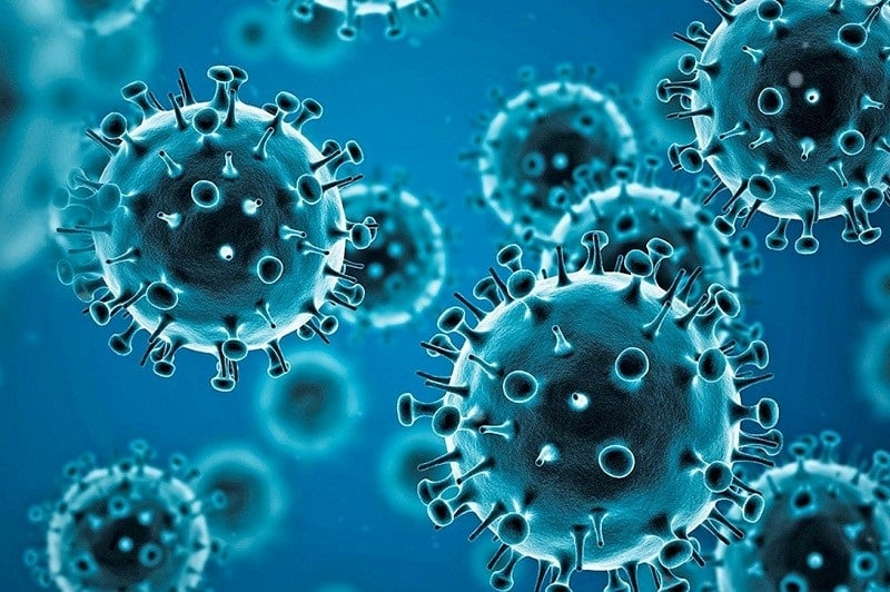 前沿进展：新冠病毒感染与免疫系统协同响应的动力学机制