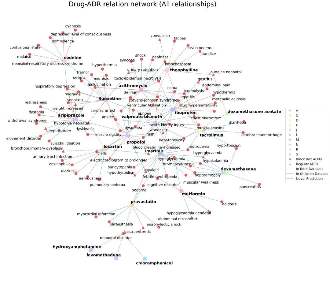图6.儿童-成人药物-ADR网络图，展示不同年龄组的ADR差异