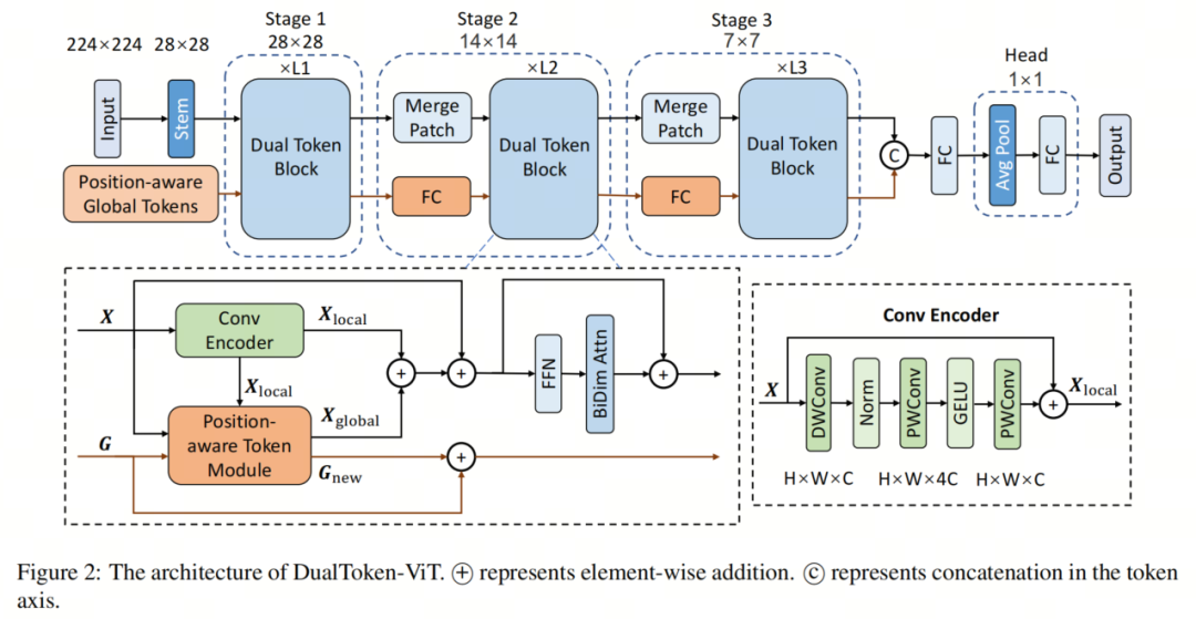 DualToken-ViT | 超越LightViT和MobileNet v2，实现更强更快更轻量化的Backbone