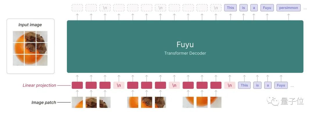 Transformer一作来卷多模态！学术图表也能看懂，100毫秒极速响应｜免费试玩