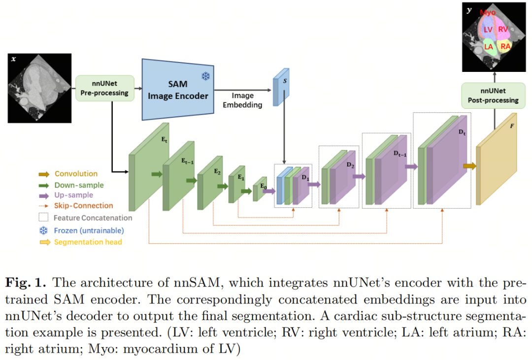大模型系列 | 玩转nnUNet和SAM | 如何把SAM做到即插即用，nnSAM是最好的答案！