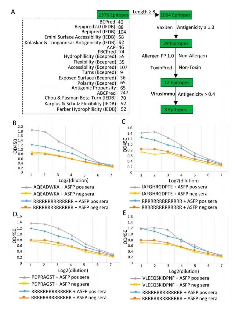 疫苗研发新突破：北航团队提出病毒抗原免疫原性预测新方法 VirusImmu