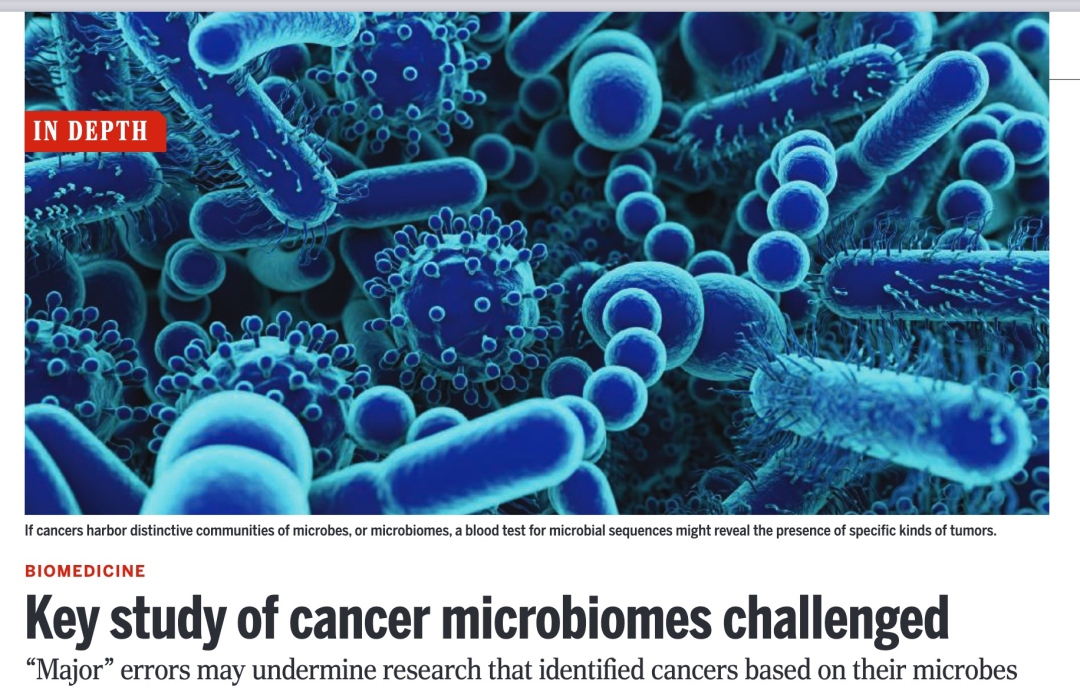 癌症微生物组的关键研究受到质疑