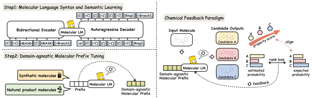 ICLR2024｜​MolGen: 化学反馈引导的预训练分子生成