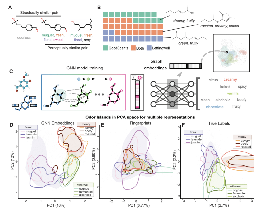 Science 速递｜嗅觉映射：分子结构如何映射到气味感知？