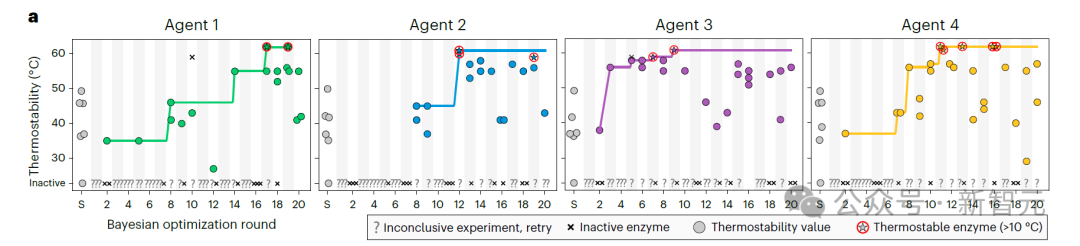 AI Agent自主设计全新蛋白质登Nature！威斯康星大学让机器人科学家做实验，无需人类帮助