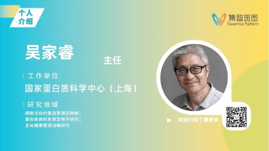 海报预览
