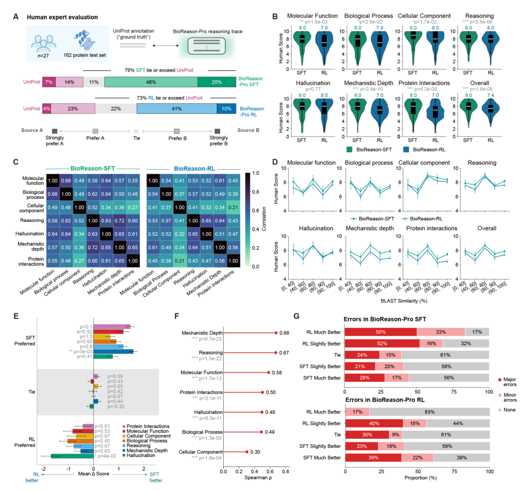 人类专家评估。(A)配对偏好比较,SFT 在 79% 的案例中不低于 UniProt。(B)七个评分维度的小提琴图。(D)专家评分在不同序列相似性区间上保持稳定,无退化趋势。