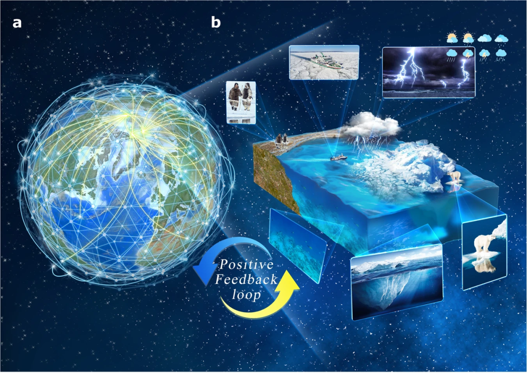 Nat. Commun.速递：复杂网络方法研究北极气候变化和连通性