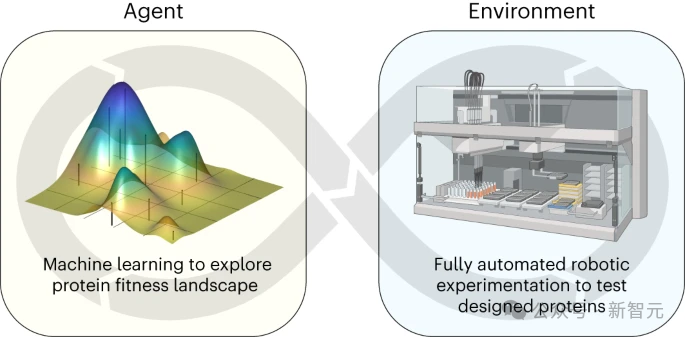 AI Agent自主设计全新蛋白质登Nature！威斯康星大学让机器人科学家做实验，无需人类帮助