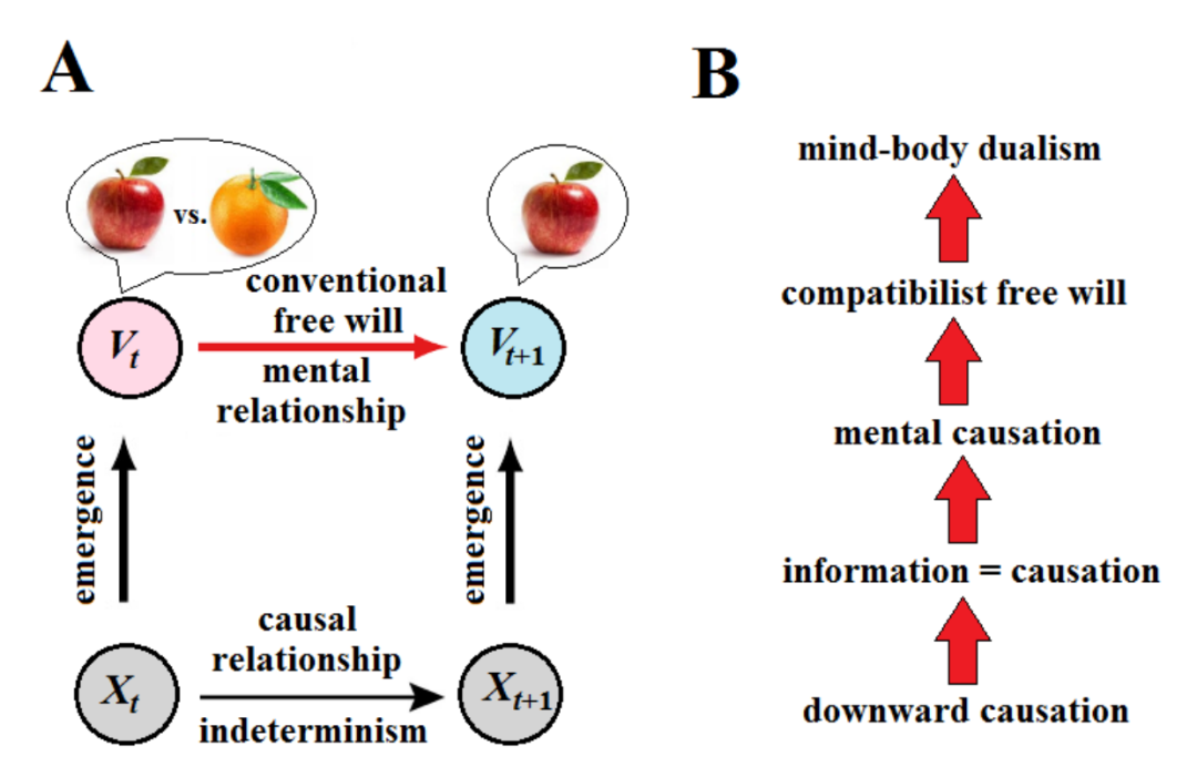 科学能解释自由意志吗？