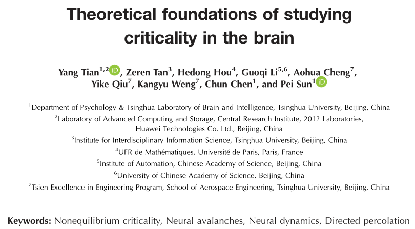 探索大脑临界性的理论基础：重新理解神经动力学