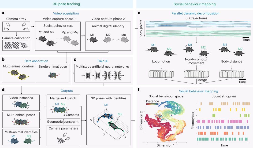 Nat. Mach. Intell.速递：基于少样本学习框架的多动物三维社交姿态估计、识别和行为嵌入