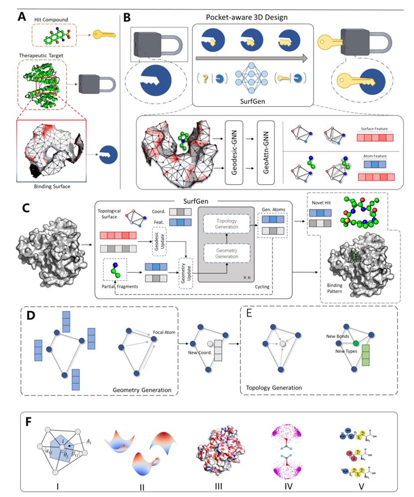 Nat. Comput. Sci. | 基于拓扑表面和几何结构的3D分子生成方法