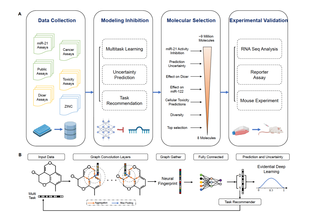 Patterns | 基于图的深度学习发现功能性microRNA靶向药物