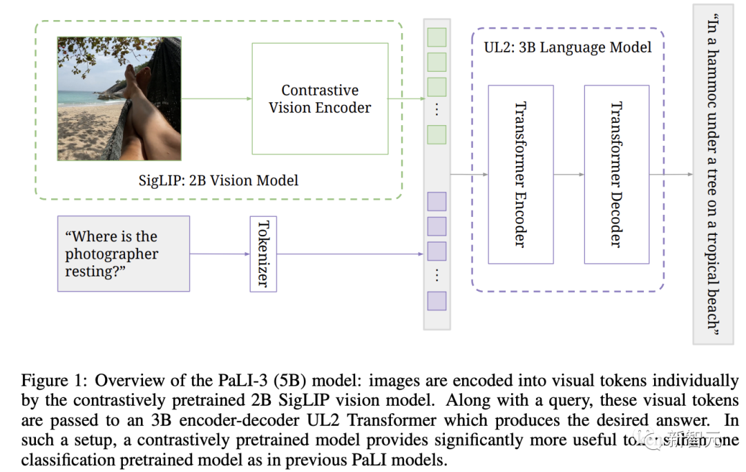 1/10体量达到SOTA！谷歌发布5B参数视觉语言模型PaLI-3，更小更快却更强