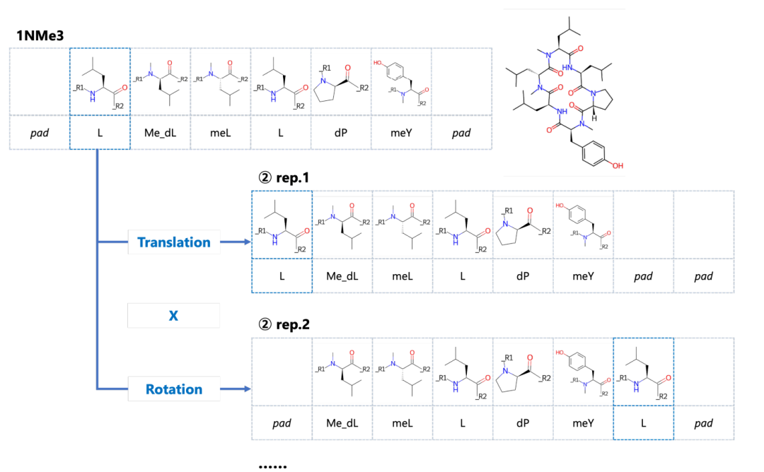 CycPeptMP通过多层次分子特征和数据增强来进行环状肽的膜透过性预测