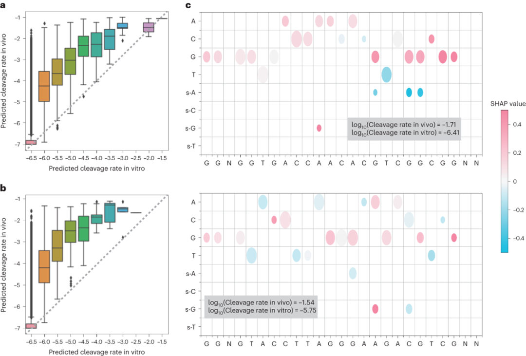 Nat. Comput. Sci. | 可解释深度学习预测CRISPR-Cas9脱靶酶促反应