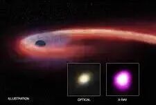 黑洞潮汐撕裂恒星事件_百度百科