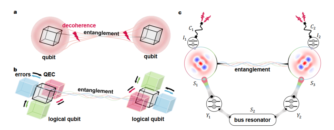 Nature Physics | 孙麓岩研究组实现对逻辑量子比特之间量子纠缠的量子纠错保护