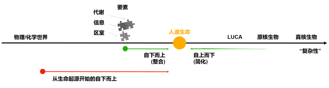 合成人造生命的理论视角：从生命起源中学习