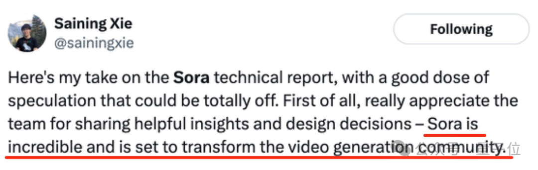 爆火Sora参数规模仅30亿？谢赛宁等大佬技术分析来了