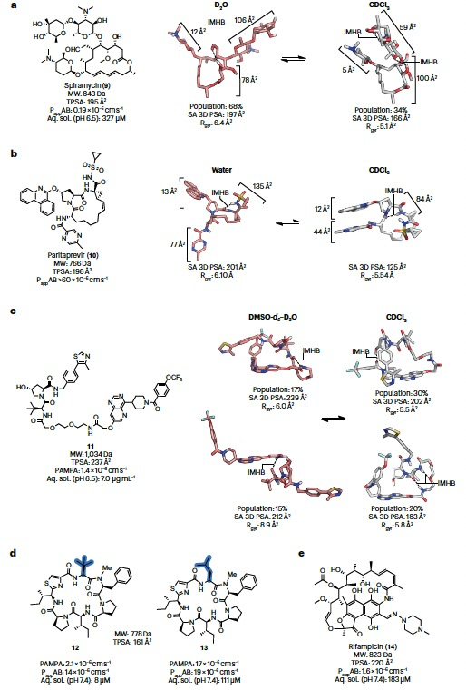 Nat. Rev. Chem. | 药物发现中的分子变色龙
