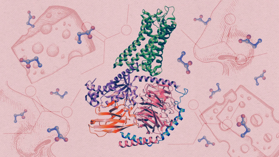 PNAS 速递：DNA 存储数据的并行分子计算