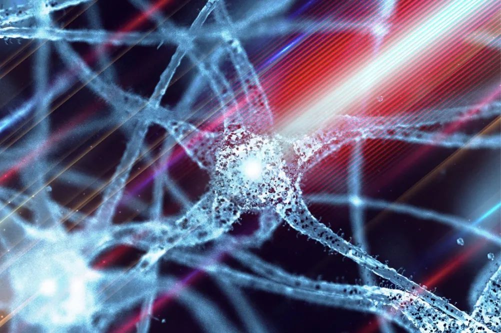 Science：神经网络模型的特征学习机制