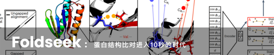 力闻 | RoseTTAFold All-Atom开源！蛋白质设计领域迎来新纪元