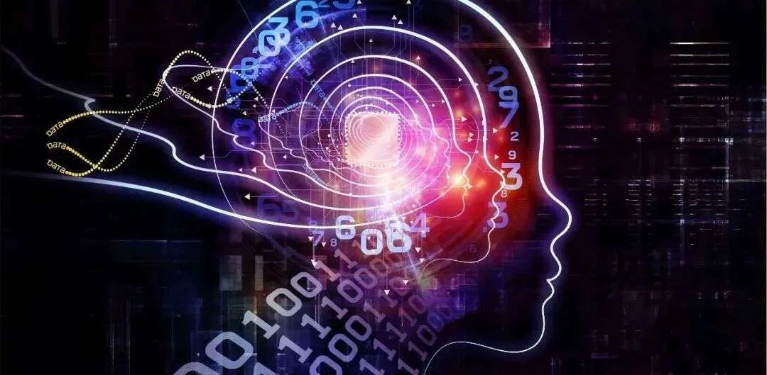 大脑精细模拟：重塑NeuroAI范式丨计算神经科学读书会·周四直播