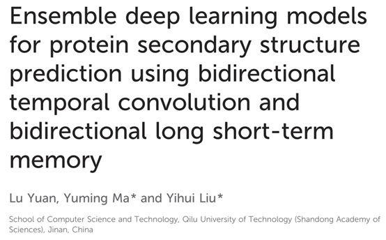 利用双向时空卷积和双向长短期记忆为蛋白质二级结构预测建立集合深度学习模型