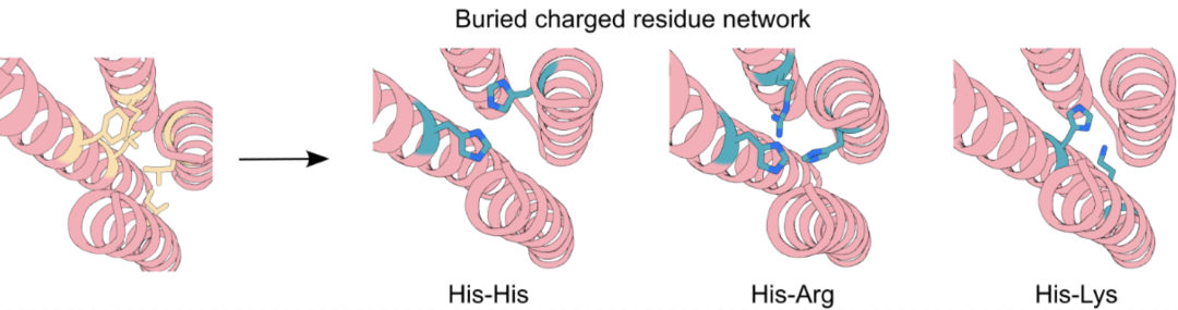第二种策略|单体destabilization