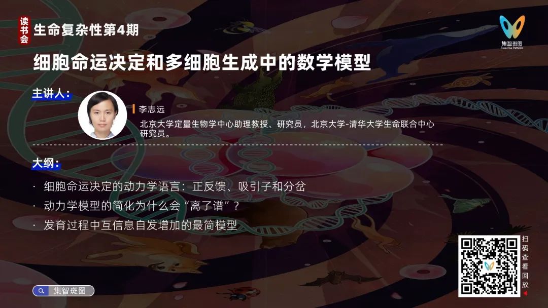 海报预览