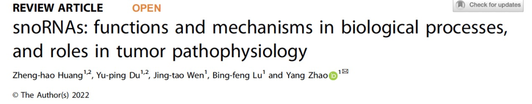 Cell Death Discov. | snoRNAs在生物过程中的功能和机制以及在肿瘤病理生理中的作用