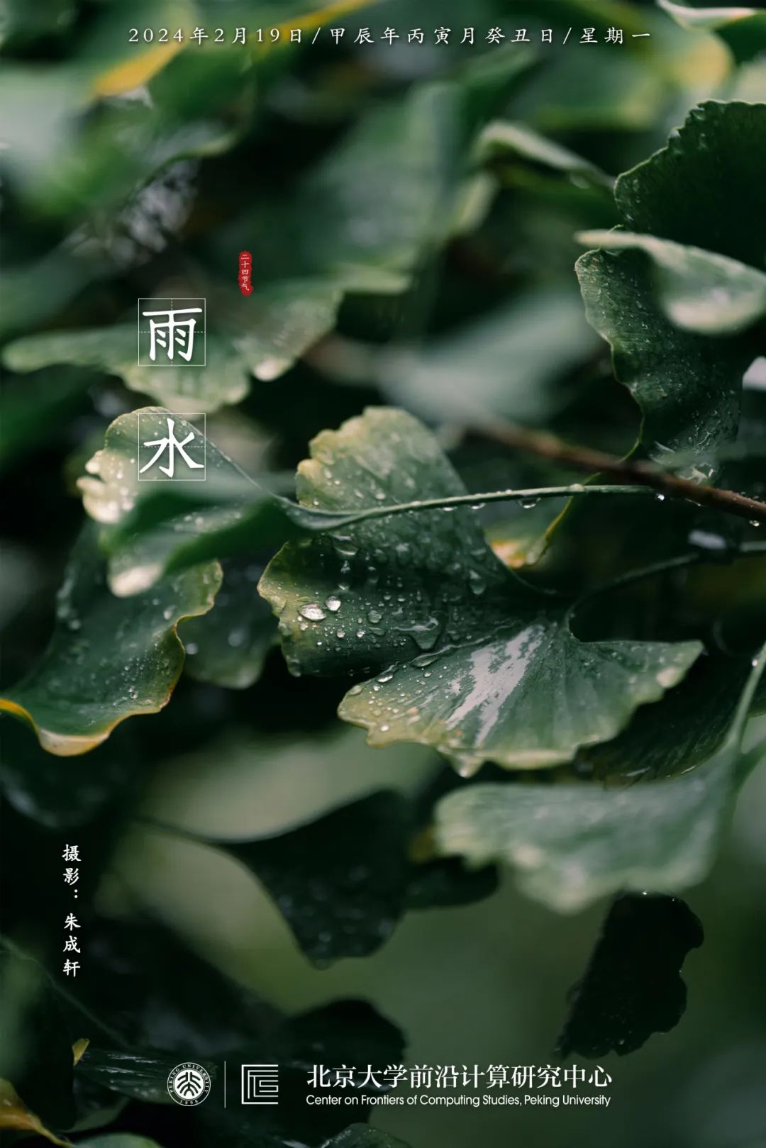 雨水 | 量子错误缓解初探