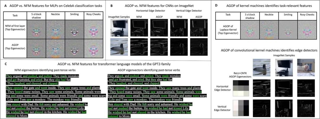 Science：神经网络模型的特征学习机制