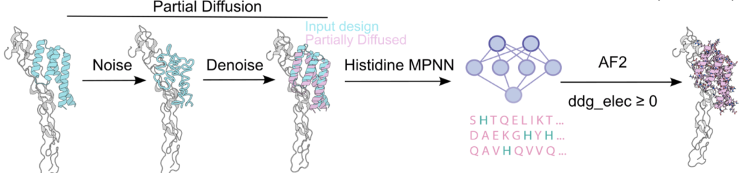界面destabilization策略的最终流程