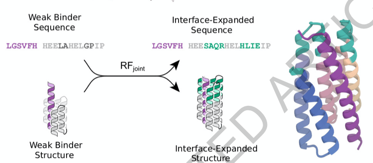 力闻 | 通用的螺旋肽binder设计