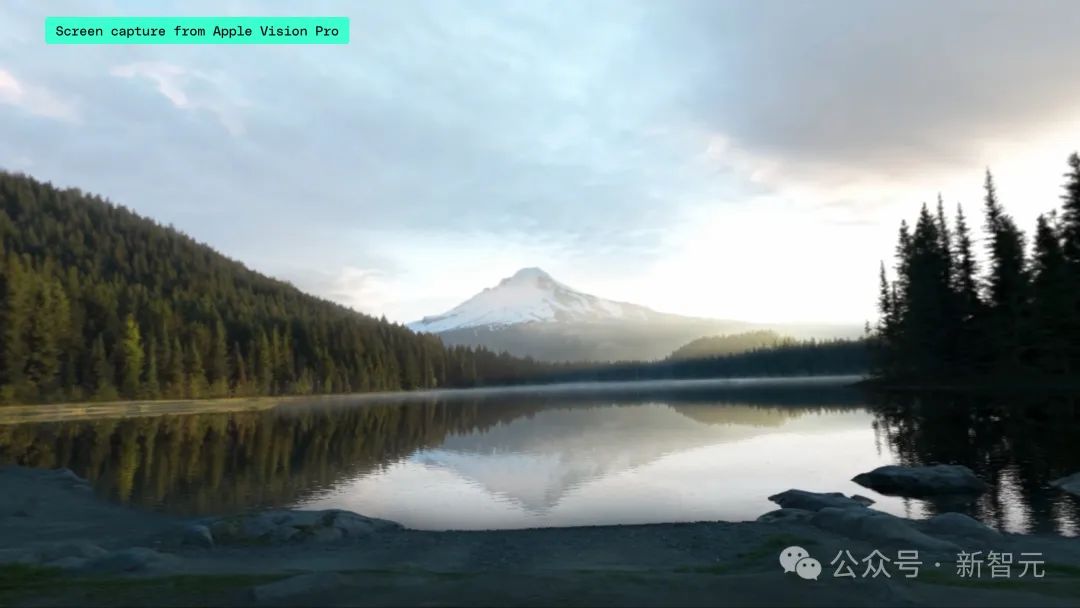 戴着Vision Pro做饭！爆卖20万台首发测评解禁：又贵又重槽点满满，网友直呼拔草了