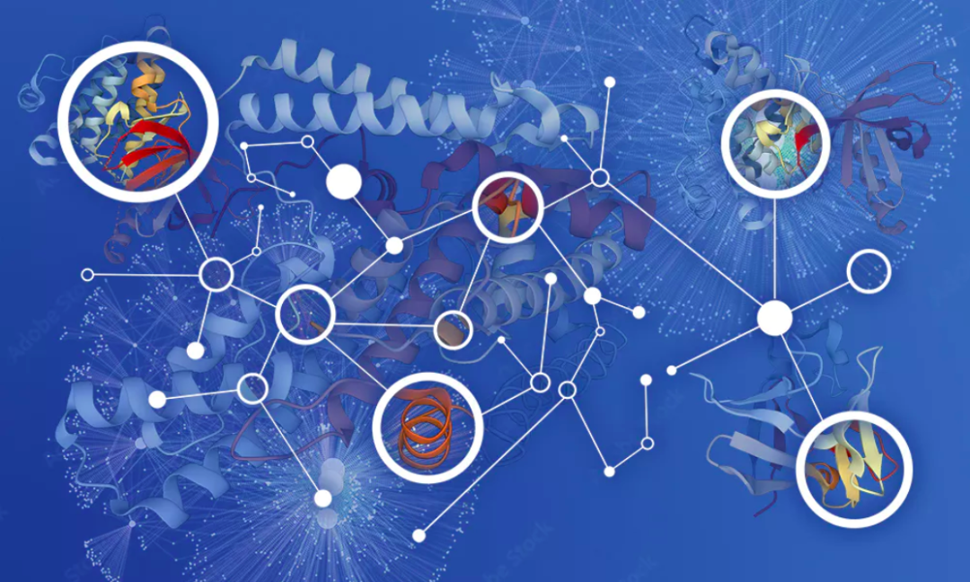 PNAS速递：基于复杂网络与演化博弈，研究复杂疾病代谢特征